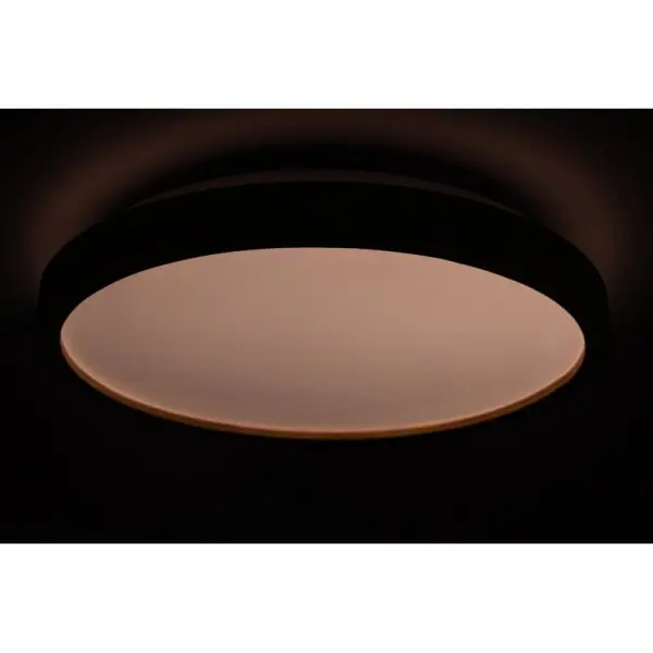 Матовий світильник Vestum WOOD 60Вт 375x60мм 3000К-6500К акація - фото №4