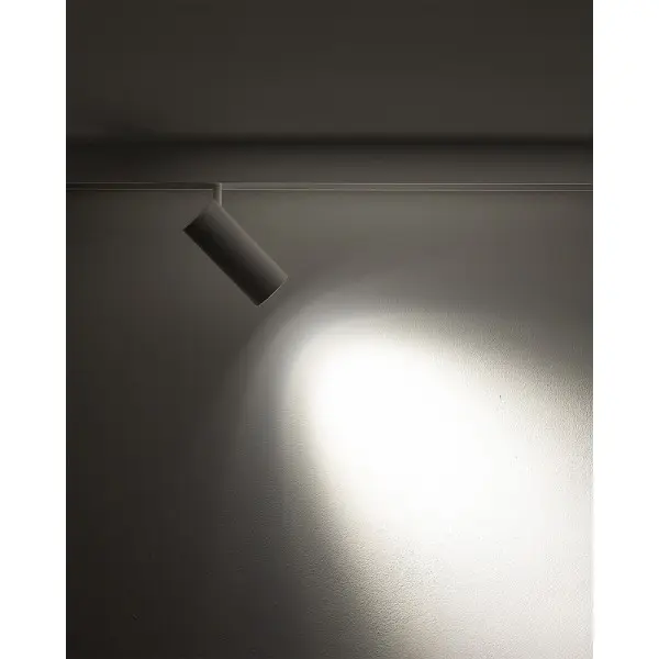 Магнітний трековий світильник Nowodvorski 11642 LVM Spot LED 1x15W 3000K 1020Lm IP20 білий - фото №1 Магнітний трековий світильник Nowodvorski 11642 LVM Spot LED 1x15W 3000K 1020Lm IP20 білий - фото №1