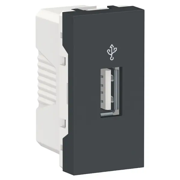 Розетка USB Schneider Electric NU342954 для передачи данных 1М (антрацит) Розетка USB Schneider Electric NU342954 для передачи данных 1М (антрацит)