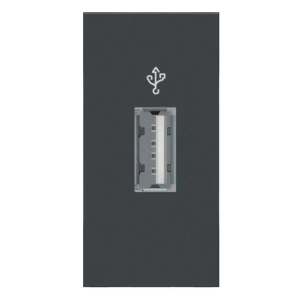 Розетка USB Schneider Electric NU342954 для передачи данных 1М (антрацит) - фото №1 Розетка USB Schneider Electric NU342954 для передачи данных 1М (антрацит) - фото №1