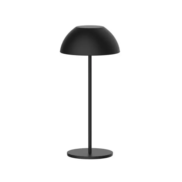 Светильник уличный портативный Goldlux 329950 Tanzania LED 1x1,8W 2700K 160Lm IP44 черный