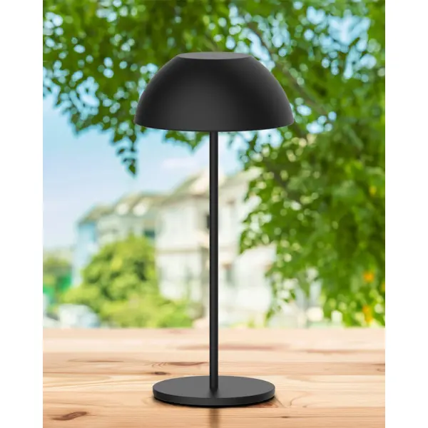 Светильник уличный портативный Goldlux 329950 Tanzania LED 1x1,8W 2700K 160Lm IP44 черный - фото №1