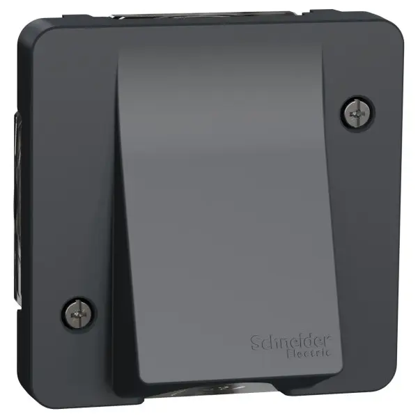 Накладка для вывода кабеля Schneider Electric MUR37931 IP55 (черный) Накладка для вывода кабеля Schneider Electric MUR37931 IP55 (черный)