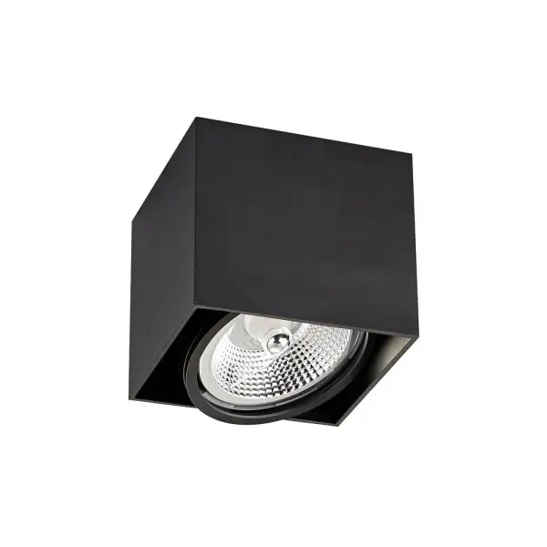 Точковий світильник Zuma Line ACGU10-115-N Box GU10 ES111 1x15W IP20 чорний (5905316608283)