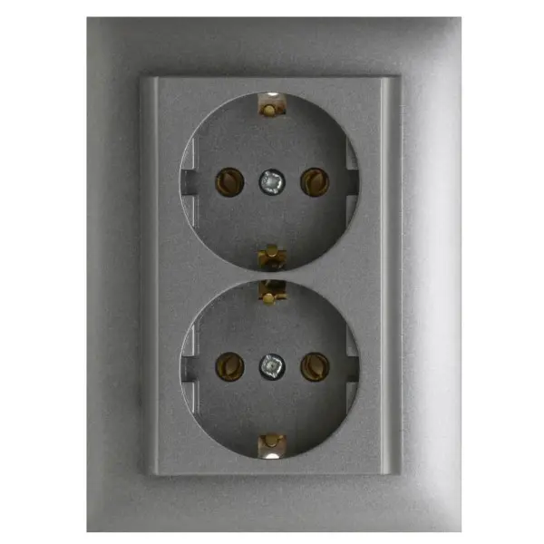 Двойная розетка Шуко Logus 90331 TAL 250В/16A (алюминий)