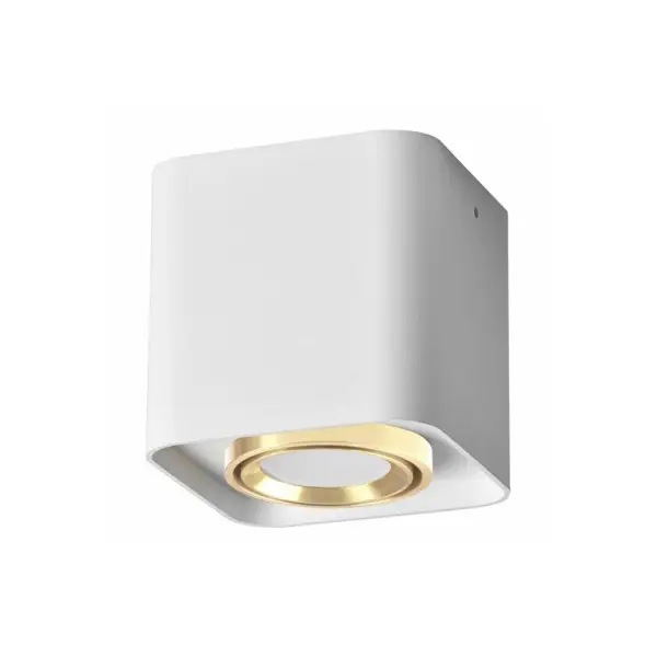 Точечный светильник Goldlux 325402 Xeno GU10 1x10W IP20 WH