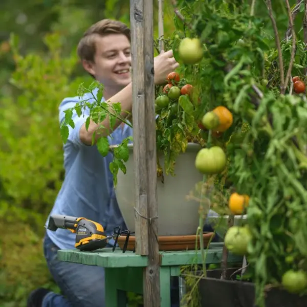 Аккумуляторный кусторез Stiga SGM102AE 10,8В - фото №10