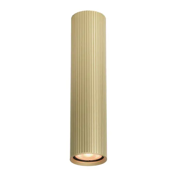 Точковий світильник Italux CLN-83920-L-GD Rilok GU10 1x10W IP20 золотий