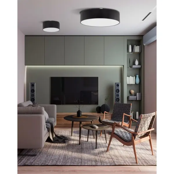Потолочный светильник TK Lighting 10988 Livo L E27 4x15W IP54 черный - фото №2 Потолочный светильник TK Lighting 10988 Livo L E27 4x15W IP54 черный - фото №2