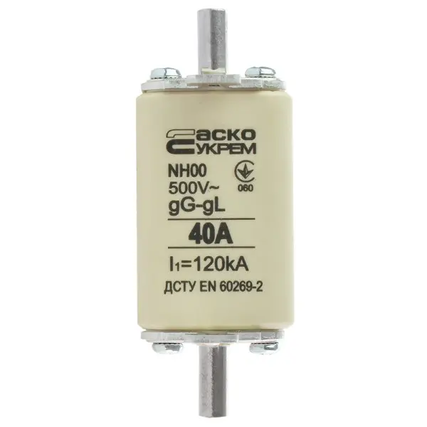Предохранитель Аско-Укрем NH00 40A gG (A0050010011)