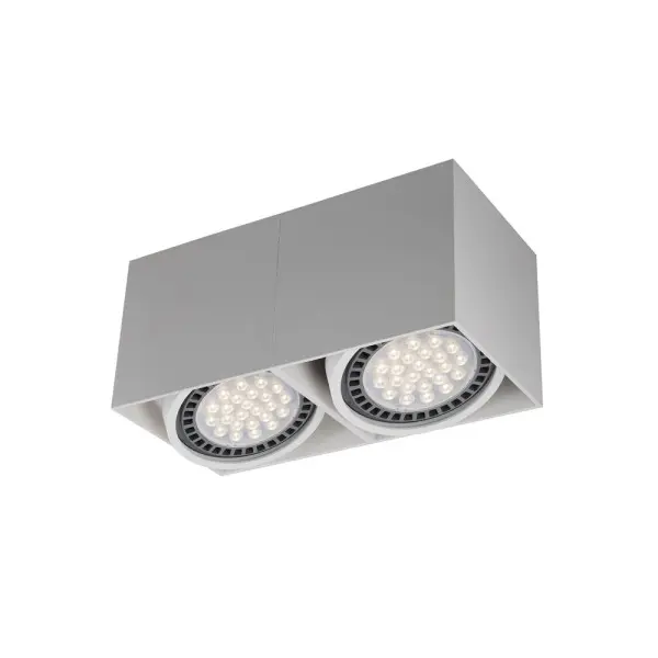 Точковий світильник Zuma Line ACGU10-116-N Box GU10 ES111 2x15W IP20 білий (5905316608306)