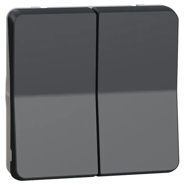 Проходной 2-клавишный переключатель Schneider Electric MUR35019 (сх.6+6) IP55 (черный) Проходной 2-клавишный переключатель Schneider Electric MUR35019 (сх.6+6) IP55 (черный)