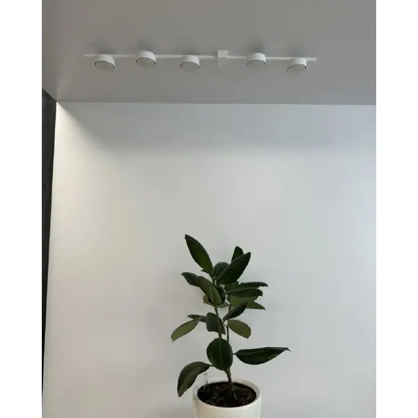 Світильник стельовий Nowodvorski 8267 Pills GX53 5x12W IP20 білий - фото №1 Світильник стельовий Nowodvorski 8267 Pills GX53 5x12W IP20 білий - фото №1
