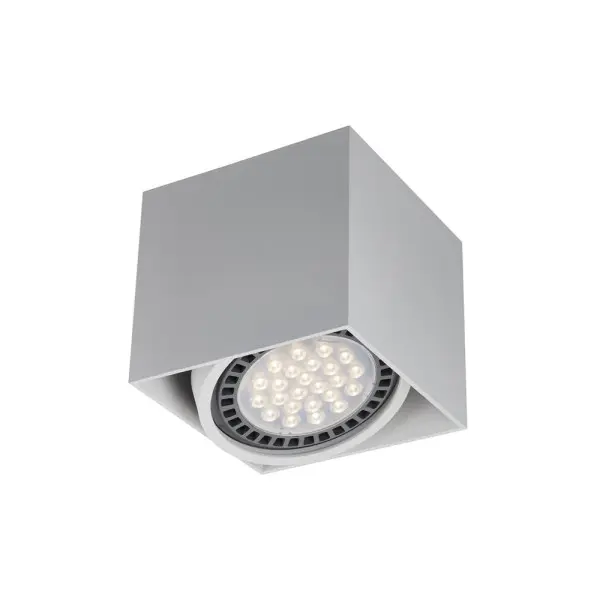 Точковий світильник Zuma Line ACGU10-114-N Box GU10 ES111 1x15W IP20 білий (5905316608276)