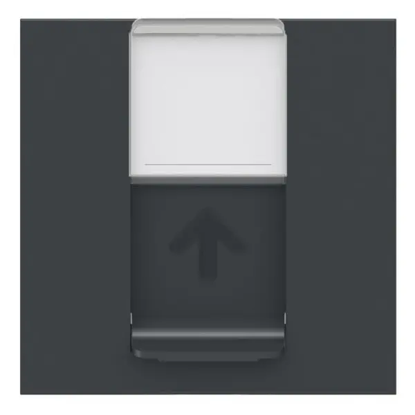 Накладка для RJ45 розетки Schneider Electric NU941154 2М (антрацит) - фото №1