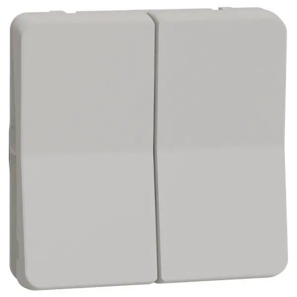 Проходной 2-клавишный переключатель Schneider Electric MUR39022 (сх.6+6) IP55 (белый) Проходной 2-клавишный переключатель Schneider Electric MUR39022 (сх.6+6) IP55 (белый)