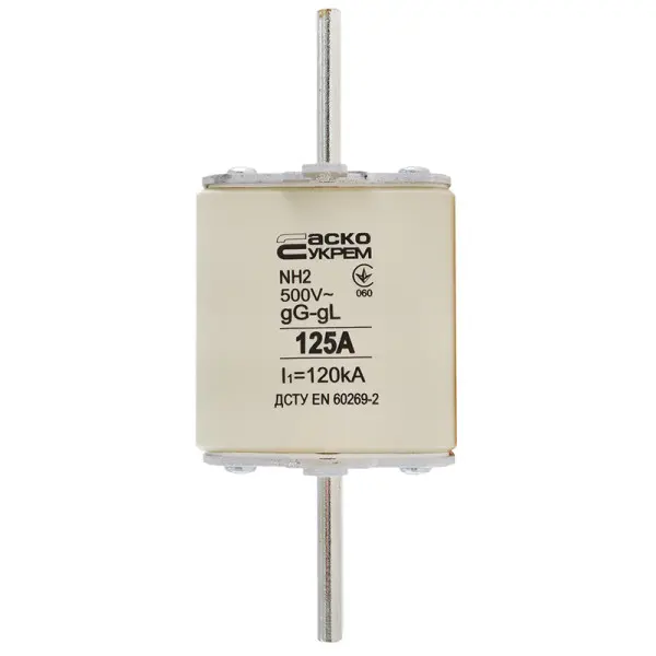 Запобіжник Аско-Укрем NH2 125A gG (A0050010033)