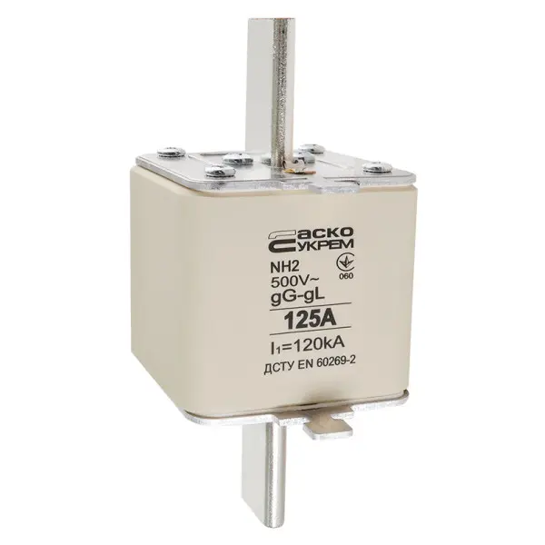 Запобіжник Аско-Укрем NH2 125A gG (A0050010033) - фото №1