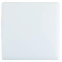Светильник Евросвет LED-SS-170-24 24Вт 4200К (57964) без рамки