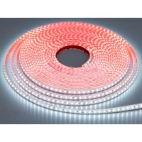 LED лента 24В, 120 шт/м, герметичная, 8мм, холодная