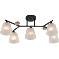 Люстра декоративна INTEREES IS XA1502-5 BK+WOOD