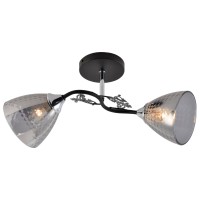 Люстра стельова INTEREES XA1525B/2 BK+CR