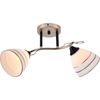 Декоративная люстра INTEREES IS DA5091-2C GD+BK