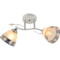 Декоративная люстра INTEREES IS XA1310B/2 White Chrome на 2 плафона