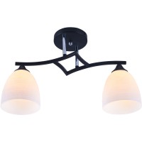 Люстра стельова INTEREES IS XA1108/2 Black+Chrome на 2 плафона