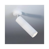 Светильник поворотный, спот Imperium Light 591245.01.01 Accent