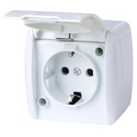 Одинарная розетка E.Next e.aqua.1231.gr с з/к IP54 крышка белая (s035056)