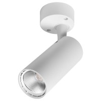 Настенно-потолочный поворотный светильник Delux TL02S 10Вт 4000K 36° белый (90015886)