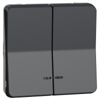 Двухклавишный кнопочный выключатель Schneider Electric MUR35228 с подсветкой IP55 (черный)