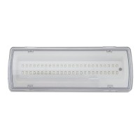 Евакуаційний світильник TNSy UJ02-50LED-4W-6500K-3H-400L-IP65 (TNSy5000560)