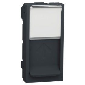 Накладка для розетки RJ45 Schneider Electric NU941054 з полем для напису 1М (антрацит)