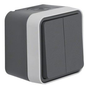 Вимикач 2-клавішний сірий Berker W.1