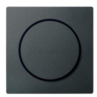 Центральная панель светорегулятора SYSTEM M антрацит Merten, MTN5250-0414