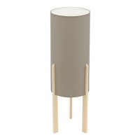 Настільна лампа Eglo 97894 Campodino E27 1x60W IP20