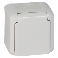 Розетка 2К+З Legrand Forix белая