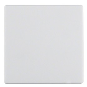 Клавіша полярна білизна Berker Q.х