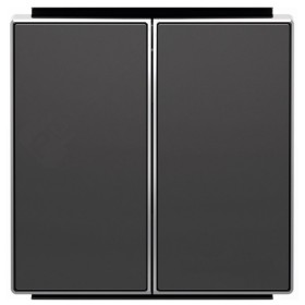 Двойная клавиша ABB Sky 8511 NS (черный бархат)