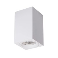 Точковий світильник MJ-Light MJ00366 TS5091 GU5.3 1x10W IP20 білий