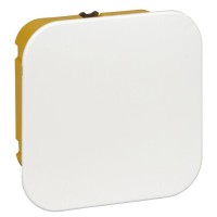 Распределительная коробка Schneider Electric IMT35161 100x100x50 для полых стен