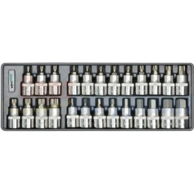 Набор головок со вставкой Whirlpower AN-SK53 (23299) 1/2" Hex Torx Spline (25шт в ложементе)