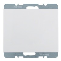 Заглушка з центральною панеллю полярна білизна Berker K.1