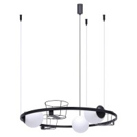 Люстра Zuma Line 5005 Plant E27 3x40W IP20 Черная