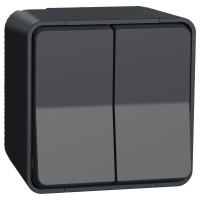 Накладний прохідний 2-клавішний перемикач Schneider Electric MUR35022 (сх.6+6) IP55 (чорний)