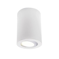 Точковий світильник Oledim 7771614 TS31W ALU GU10 IP54 білий