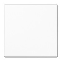 Клавиша выключателя Jung A A590BFWW белый