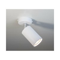 Світильник поворотний, спот Imperium Light 591145.01.01 Accent